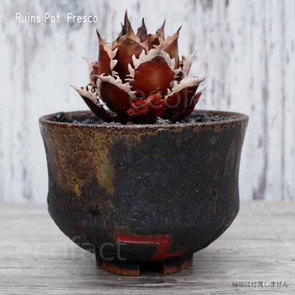 陶器鉢 植木鉢 小鉢 底穴あり 益子焼 Ruins Pot Fresco 大そり φ11cm おしゃれ 園芸鉢 プランター アガベ コーデックス 塊根植物 NK CERAMICA(エヌケーセラミカ)