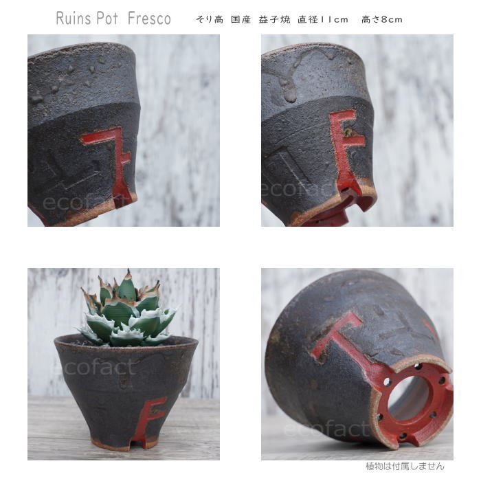 陶器鉢 植木鉢 小鉢 底穴あり 益子焼 Ruins Pot Fresco そり高 φ11cm おしゃれ 園芸鉢 プランター アガベ コーデックス 塊根植物 NK CERAMICA(エヌケーセラミカ)