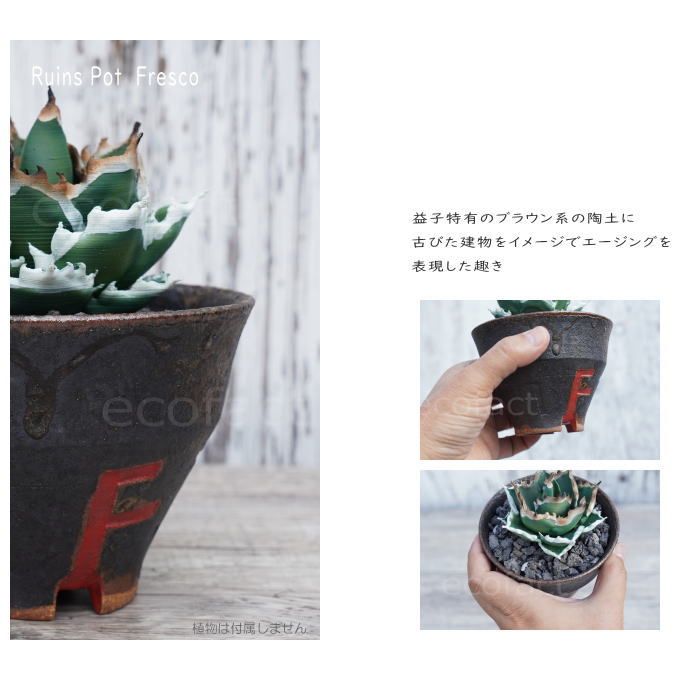陶器鉢 植木鉢 小鉢 底穴あり 益子焼 Ruins Pot Fresco そり高 φ11cm おしゃれ 園芸鉢 プランター アガベ コーデックス 塊根植物 NK CERAMICA(エヌケーセラミカ)