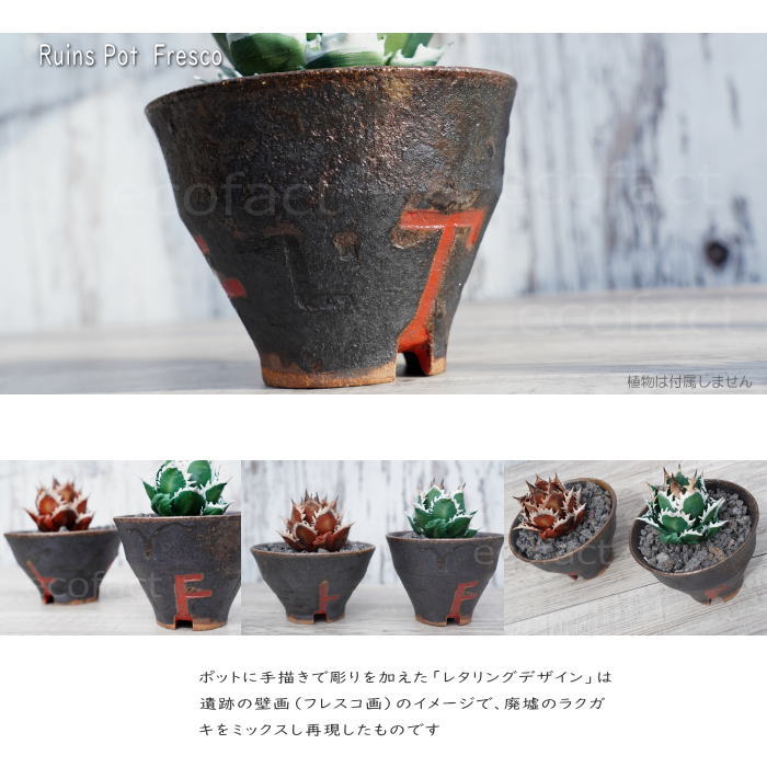 陶器鉢 植木鉢 小鉢 底穴あり 益子焼 Ruins Pot Fresco そり高 φ11cm おしゃれ 園芸鉢 プランター アガベ コーデックス 塊根植物 NK CERAMICA(エヌケーセラミカ)