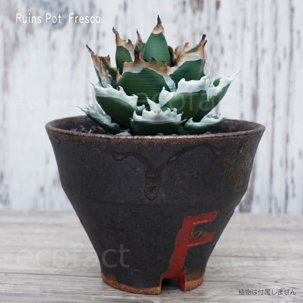 陶器鉢 植木鉢 小鉢 底穴あり 益子焼 Ruins Pot Fresco そり高 φ11cm おしゃれ 園芸鉢 プランター アガベ コーデックス 塊根植物 NK CERAMICA(エヌケーセラミカ)