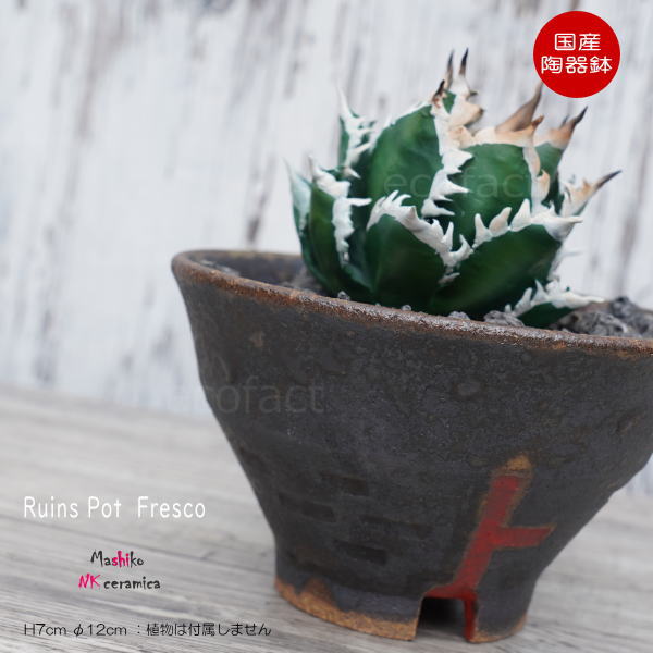 陶器鉢 植木鉢 小鉢 底穴あり 益子焼 Ruins Pot Fresco そり低 φ12cm おしゃれ 園芸鉢 プランター アガベ コーデックス 塊根植物 NK CERAMICA(エヌケーセラミカ)