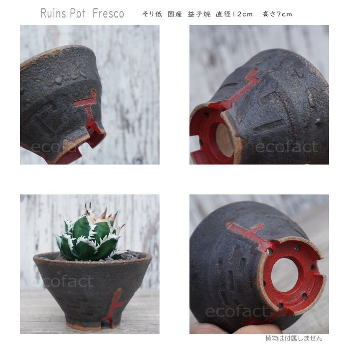 陶器鉢 植木鉢 小鉢 底穴あり 益子焼 Ruins Pot Fresco そり低 φ12cm おしゃれ 園芸鉢 プランター アガベ コーデックス 塊根植物 NK CERAMICA(エヌケーセラミカ)