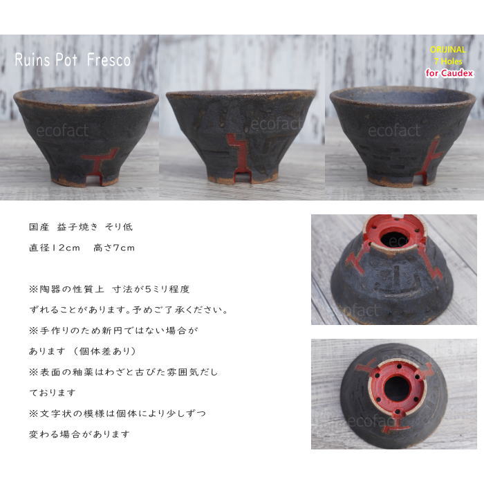 陶器鉢 植木鉢 小鉢 底穴あり 益子焼 Ruins Pot Fresco そり低 φ12cm おしゃれ 園芸鉢 プランター アガベ コーデックス 塊根植物 NK CERAMICA(エヌケーセラミカ)
