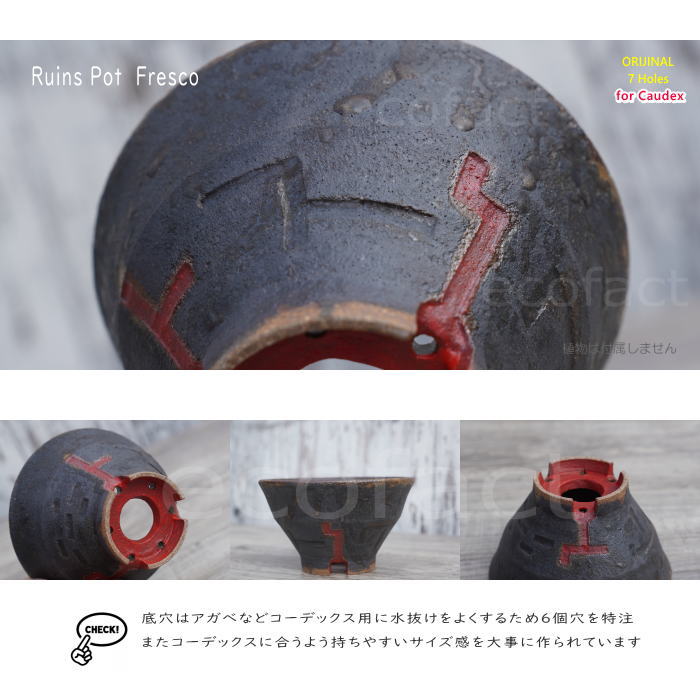 陶器鉢 植木鉢 小鉢 底穴あり 益子焼 Ruins Pot Fresco そり低 φ12cm おしゃれ 園芸鉢 プランター アガベ コーデックス 塊根植物 NK CERAMICA(エヌケーセラミカ)