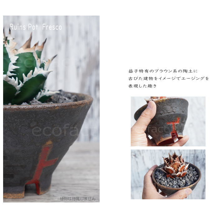 陶器鉢 植木鉢 小鉢 底穴あり 益子焼 Ruins Pot Fresco そり低 φ12cm おしゃれ 園芸鉢 プランター アガベ コーデックス 塊根植物 NK CERAMICA(エヌケーセラミカ)