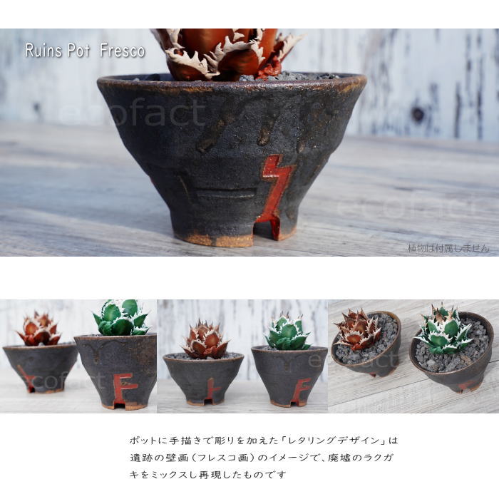 陶器鉢 植木鉢 小鉢 底穴あり 益子焼 Ruins Pot Fresco そり低 φ12cm おしゃれ 園芸鉢 プランター アガベ コーデックス 塊根植物 NK CERAMICA(エヌケーセラミカ)