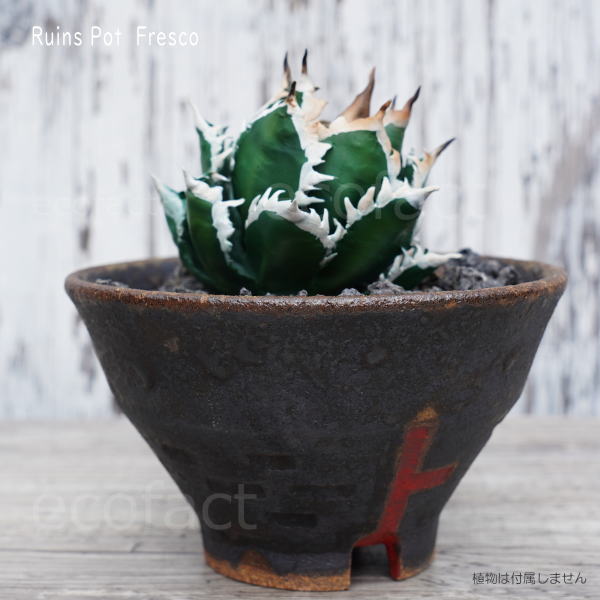 陶器鉢 植木鉢 小鉢 底穴あり 益子焼 Ruins Pot Fresco そり低 φ12cm おしゃれ 園芸鉢 プランター アガベ コーデックス 塊根植物 NK CERAMICA(エヌケーセラミカ)
