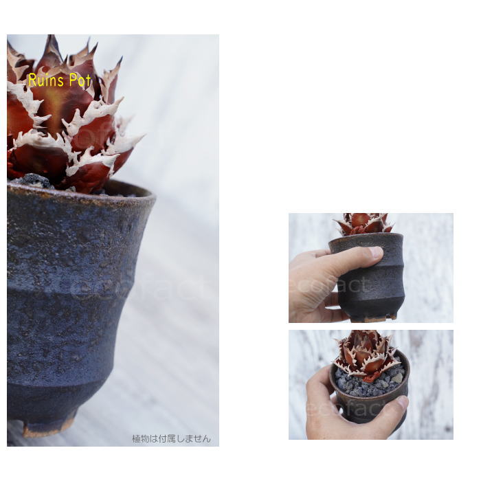 陶器鉢 植木鉢 小鉢 底穴あり 益子焼 Ruins Pot そり二段 φ9cm おしゃれ 園芸鉢 プランター アガベ コーデックス 塊根植物 NK CERAMICA(エヌケーセラミカ)