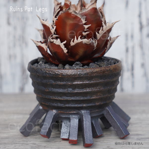 陶器鉢 植木鉢 小鉢 底穴あり 益子焼 Ruins Pot Legs φ11cm おしゃれ 園芸鉢 プランター アガベ コーデックス 塊根植物 NK CERAMICA(エヌケーセラミカ)