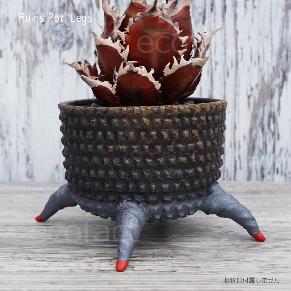 陶器鉢 植木鉢 小鉢 底穴あり 益子焼 Ruins Pot 4Legs φ11cm おしゃれ 園芸鉢 プランター アガベ コーデックス 塊根植物 NK CERAMICA(エヌケーセラミカ)