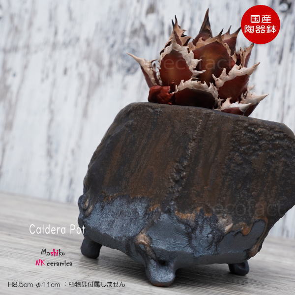 陶器鉢 植木鉢 小鉢 底穴あり 益子焼 Caldera Pot φ11cm おしゃれ 園芸鉢 プランター アガベ コーデックス 塊根植物 NK CERAMICA(エヌケーセラミカ)