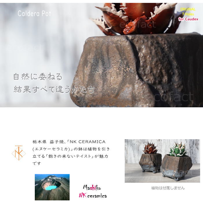 陶器鉢 植木鉢 小鉢 底穴あり 益子焼 Caldera Pot φ11cm おしゃれ 園芸鉢 プランター アガベ コーデックス 塊根植物 NK CERAMICA(エヌケーセラミカ)