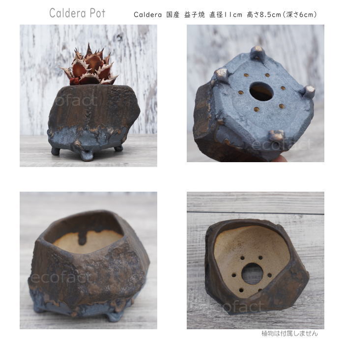 陶器鉢 植木鉢 小鉢 底穴あり 益子焼 Caldera Pot φ11cm おしゃれ 園芸鉢 プランター アガベ コーデックス 塊根植物 NK CERAMICA(エヌケーセラミカ)