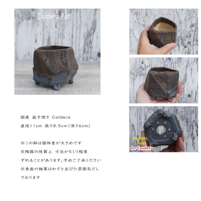陶器鉢 植木鉢 小鉢 底穴あり 益子焼 Caldera Pot φ11cm おしゃれ 園芸鉢 プランター アガベ コーデックス 塊根植物 NK CERAMICA(エヌケーセラミカ)