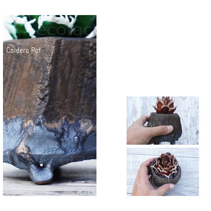 陶器鉢 植木鉢 小鉢 底穴あり 益子焼 Caldera Pot φ11cm おしゃれ 園芸鉢 プランター アガベ コーデックス 塊根植物 NK CERAMICA(エヌケーセラミカ)