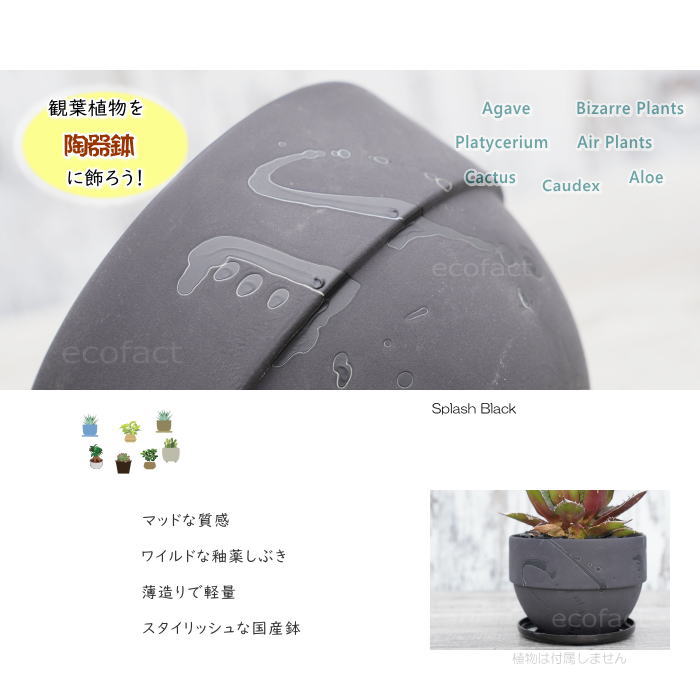 陶器鉢 植木鉢 美濃焼 SPLASH POT 4号 底穴あり ブラック おしゃれ プランター 園芸鉢 観葉植物 アガベ サボテン ビザールプランツ 塊根植物 コーデックス 多肉植物 ポット