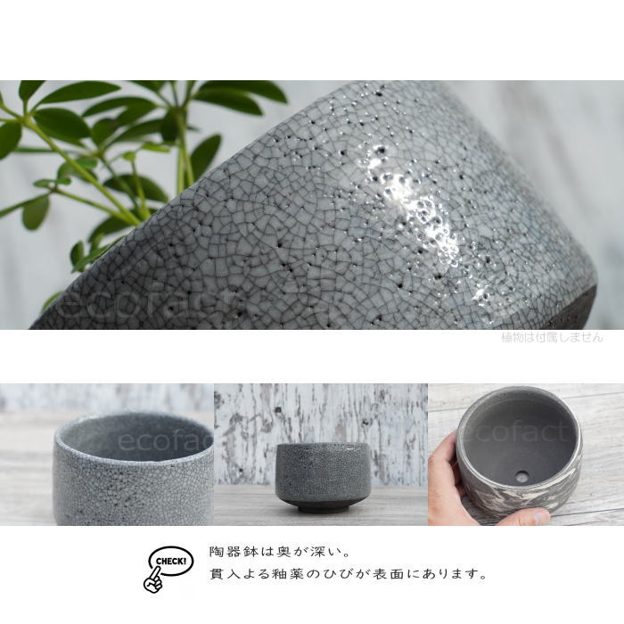 陶器鉢 植木鉢 美濃焼 MATCHA POT 4号 底穴あり ブラック グレイ おしゃれ プランター 園芸鉢 観葉植物 アガベ サボテン ビザールプランツ 塊根植物 コーデックス 多肉植物 ポット
