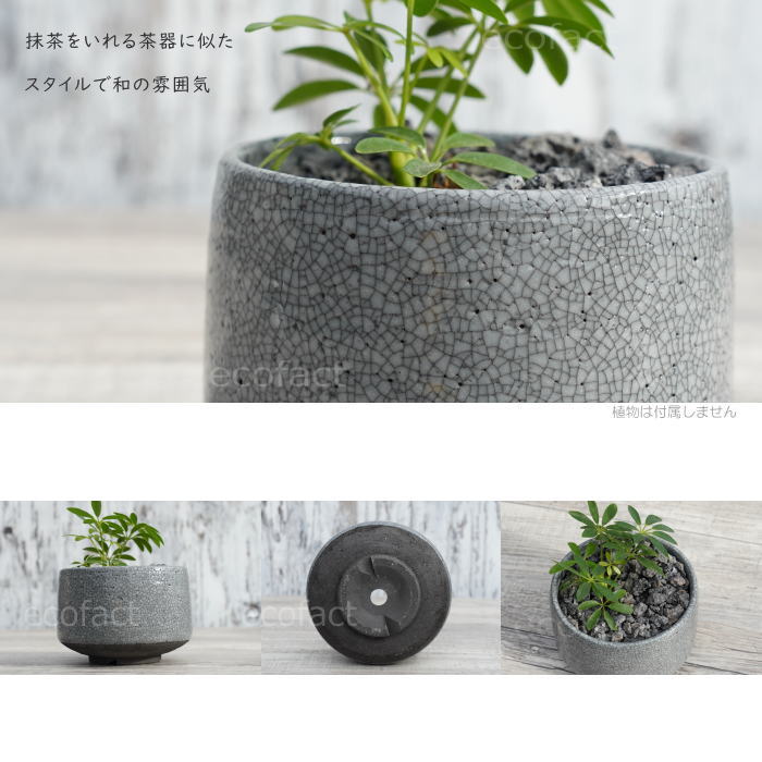陶器鉢 植木鉢 美濃焼 MATCHA POT 4号 底穴あり ブラック グレイ おしゃれ プランター 園芸鉢 観葉植物 アガベ サボテン ビザールプランツ 塊根植物 コーデックス 多肉植物 ポット