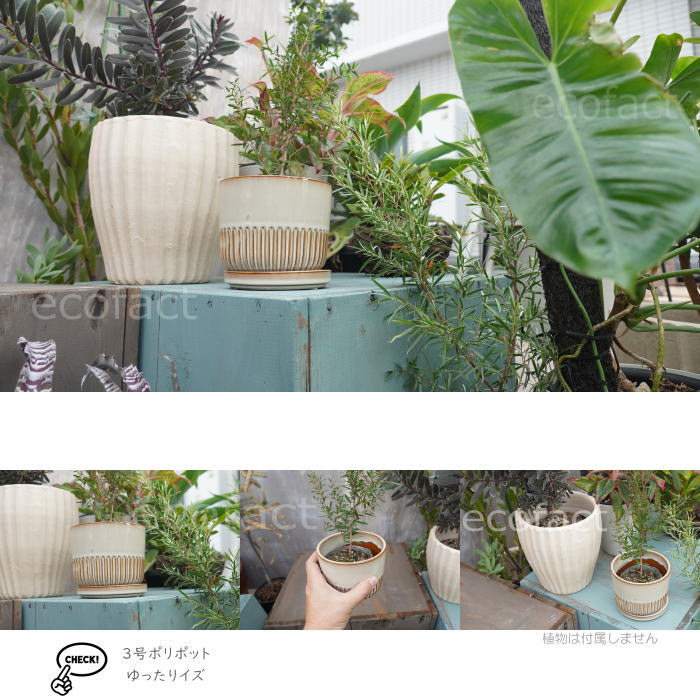植木鉢 おしゃれ 陶器鉢 フラワーポット ミニポット 底穴あり Streak S アイボリー φ12cm プランター 園芸鉢 観葉植物 オージープランツ