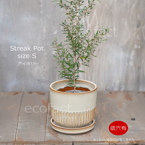植木鉢 おしゃれ 陶器鉢 フラワーポット ミニポット 底穴あり Streak S アイボリー φ12cm プランター 園芸鉢 観葉植物 オージープランツ
