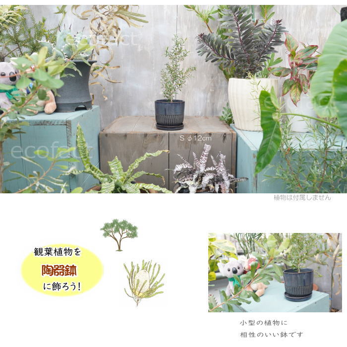 植木鉢 おしゃれ 陶器鉢 フラワーポット ミニポット 底穴あり Streak S グレイネイビー φ12cm プランター 園芸鉢 観葉植物 オージープランツ