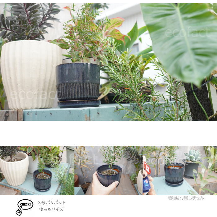 植木鉢 おしゃれ 陶器鉢 フラワーポット ミニポット 底穴あり Streak S グレイネイビー φ12cm プランター 園芸鉢 観葉植物 オージープランツ