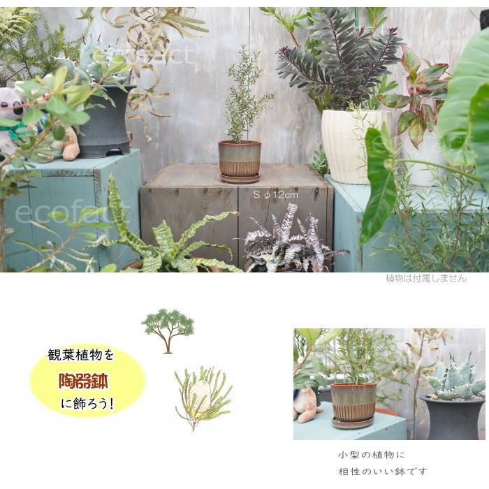 植木鉢 おしゃれ 陶器鉢 フラワーポット ミニポット 底穴あり Streak S ブラウングレイ φ12cm プランター 園芸鉢 観葉植物 オージープランツ