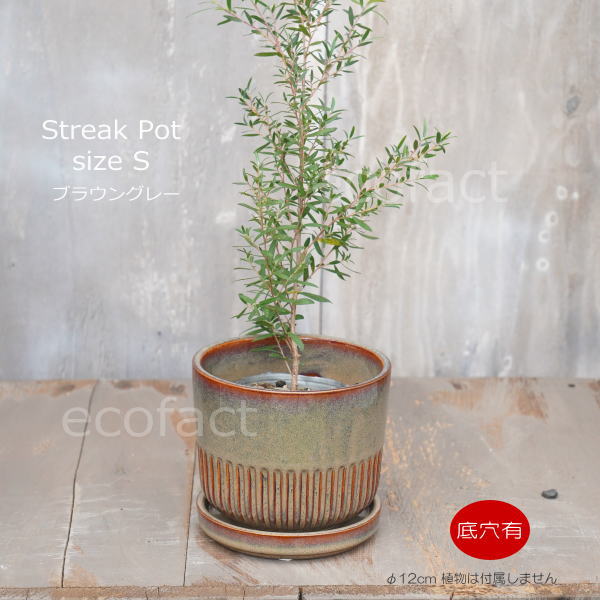 植木鉢 おしゃれ 陶器鉢 フラワーポット ミニポット 底穴あり Streak S ブラウングレイ φ12cm プランター 園芸鉢 観葉植物 オージープランツ