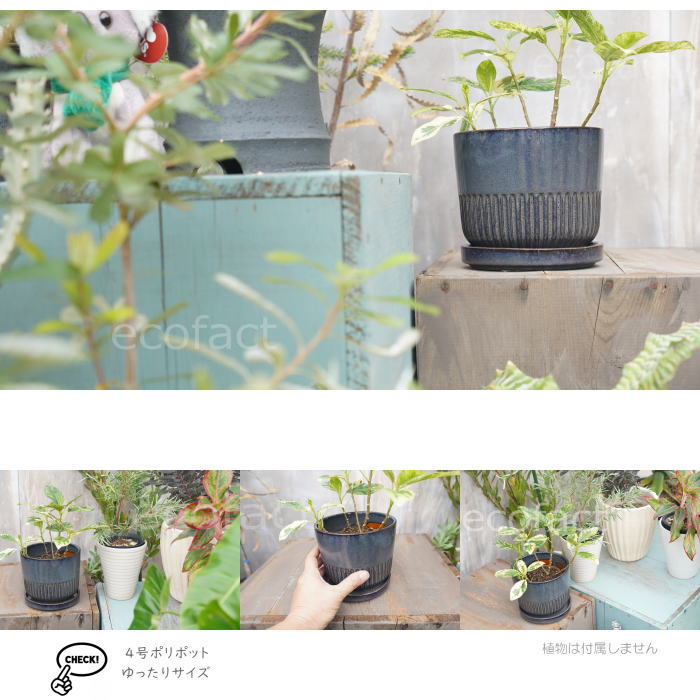 植木鉢 おしゃれ 陶器鉢 フラワーポット ミニポット 底穴あり Streak M グレイネイビー φ15cm プランター 園芸鉢 観葉植物 オージープランツ