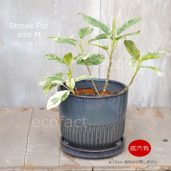 植木鉢 おしゃれ 陶器鉢 フラワーポット ミニポット 底穴あり Streak M グレイネイビー φ15cm プランター 園芸鉢 観葉植物 オージープランツ