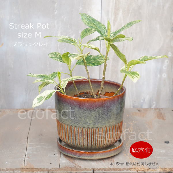 植木鉢 おしゃれ 陶器鉢 フラワーポット ミニポット 底穴あり Streak M ブラウングレイ φ15cm プランター 園芸鉢 観葉植物 オージープランツ