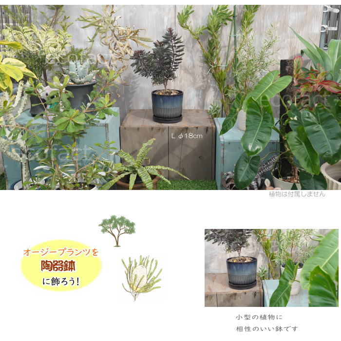 植木鉢 おしゃれ 陶器鉢 フラワーポット ミニポット 底穴あり Streak L グレイネイビー φ18cm プランター 園芸鉢 観葉植物 オージープランツ