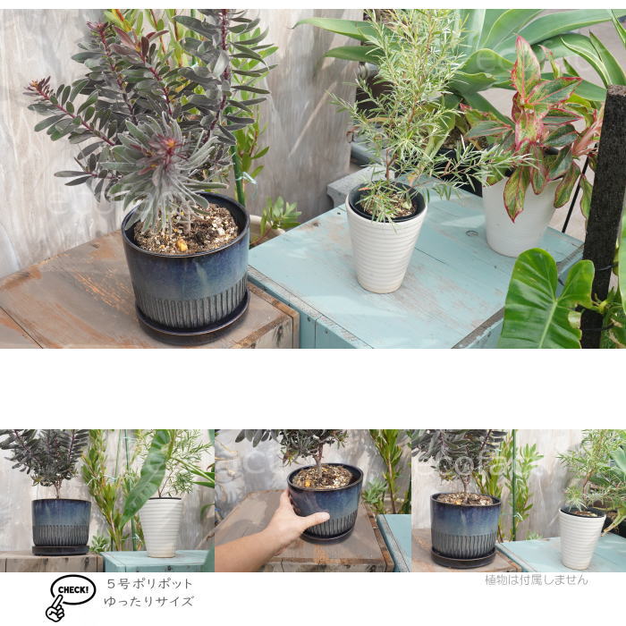 植木鉢 おしゃれ 陶器鉢 フラワーポット ミニポット 底穴あり Streak L グレイネイビー φ18cm プランター 園芸鉢 観葉植物 オージープランツ