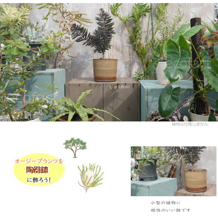 植木鉢 おしゃれ 陶器鉢 フラワーポット ミニポット 底穴あり Streak L ブラウングレイ φ18cm プランター 園芸鉢 観葉植物 オージープランツ