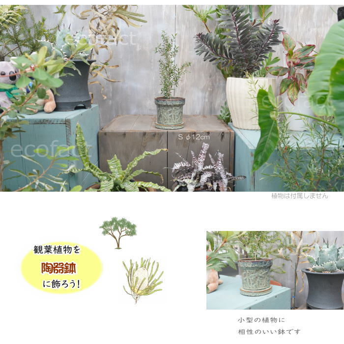 植木鉢 おしゃれ 陶器鉢 フラワーポット ミニポット 底穴あり Grit S グレイグリーン φ12cm プランター 園芸鉢 観葉植物 オージープランツ