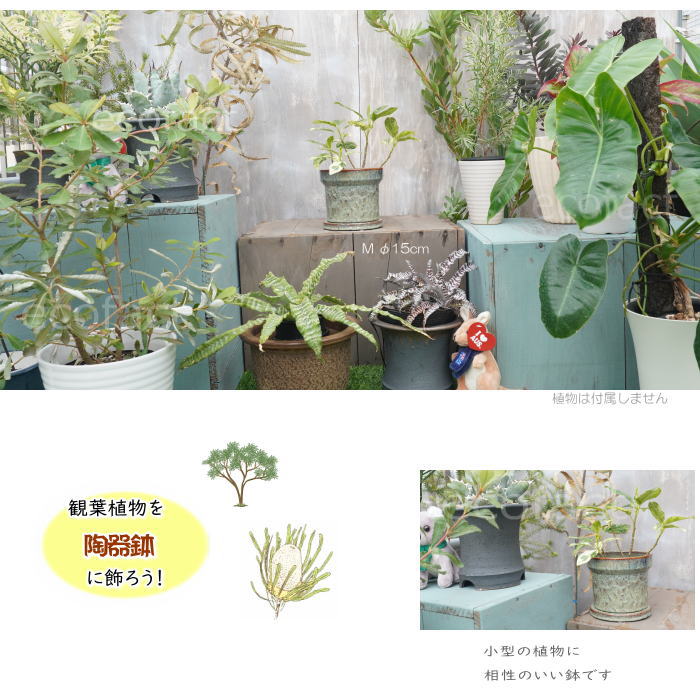 植木鉢 おしゃれ 陶器鉢 フラワーポット ミニポット 底穴あり Grit M グレイグリーン φ15cm プランター 園芸鉢 観葉植物 オージープランツ