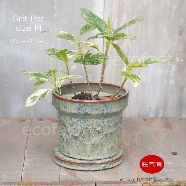 植木鉢 おしゃれ 陶器鉢 フラワーポット ミニポット 底穴あり Grit M グレイグリーン φ15cm プランター 園芸鉢 観葉植物 オージープランツ