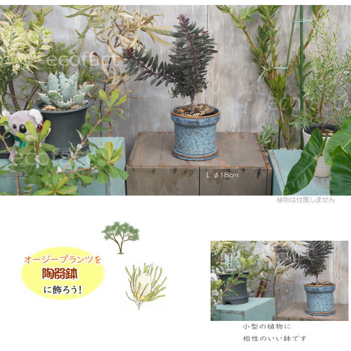 植木鉢 おしゃれ 陶器鉢 フラワーポット ミニポット 底穴あり Grit L ブルー φ18cm プランター 園芸鉢 観葉植物 オージープランツ