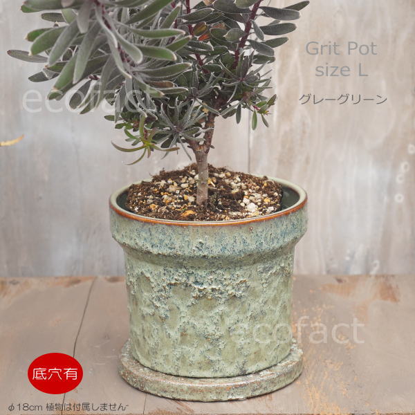 植木鉢 おしゃれ 陶器鉢 フラワーポット ミニポット 底穴あり Grit L グレイグリーン φ12cm プランター 園芸鉢 観葉植物 オージープランツ