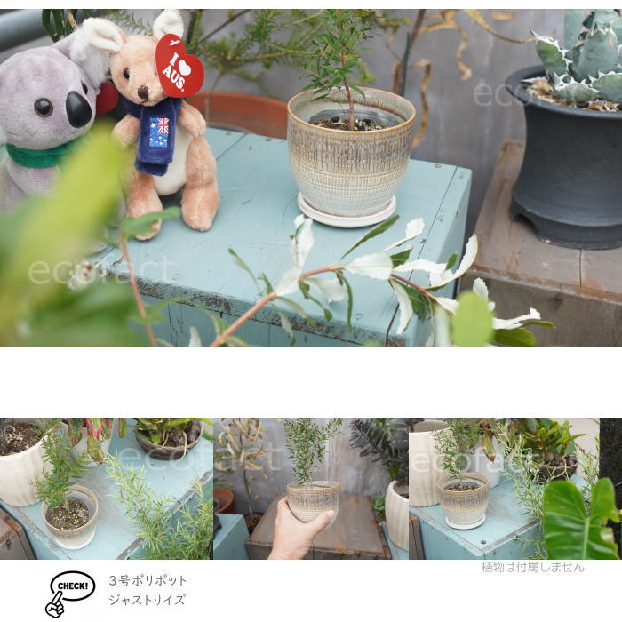 植木鉢 おしゃれ 陶器鉢 フラワーポット ミニポット 底穴あり Lattice S グレイ φ11.2cm プランター 園芸鉢 観葉植物 オージープランツ