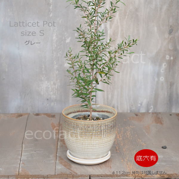 植木鉢 おしゃれ 陶器鉢 フラワーポット ミニポット 底穴あり Lattice S グレイ φ11.2cm プランター 園芸鉢 観葉植物 オージープランツ