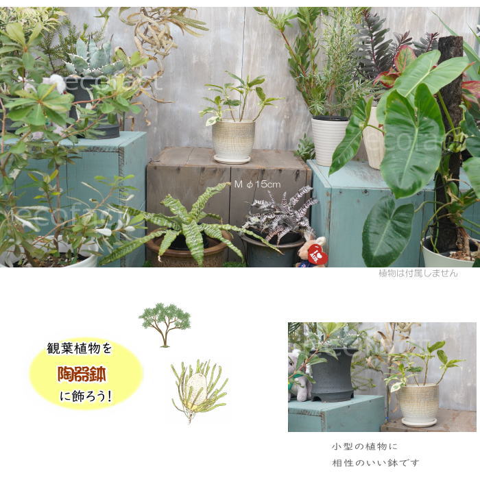 植木鉢 おしゃれ 陶器鉢 フラワーポット ミニポット 底穴あり Lattice M グレイ φ14cm プランター 園芸鉢 観葉植物 オージープランツ