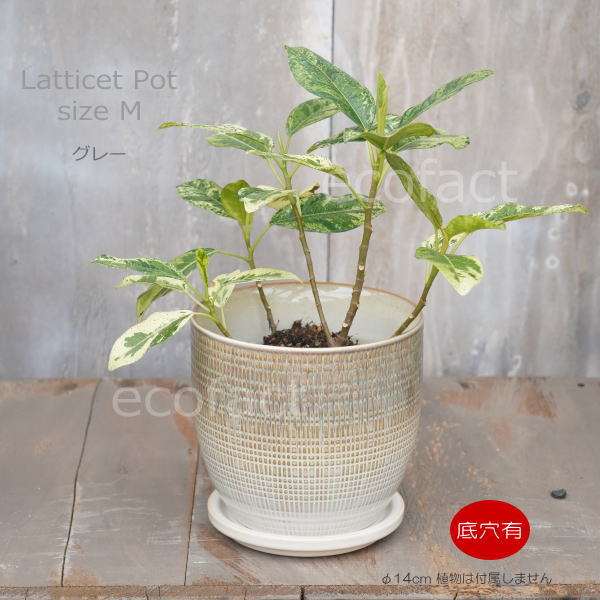 植木鉢 おしゃれ 陶器鉢 フラワーポット ミニポット 底穴あり Lattice M グレイ φ14cm プランター 園芸鉢 観葉植物 オージープランツ