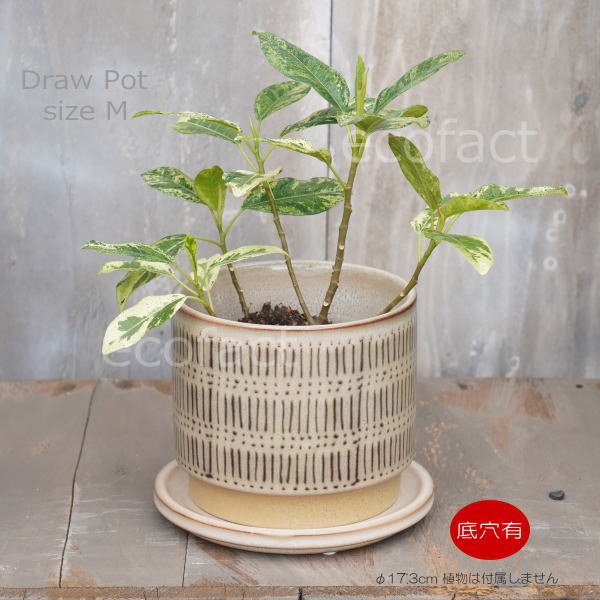 植木鉢 おしゃれ 陶器鉢 フラワーポット ミニポット 底穴あり Draw M φ17.3cm プランター 園芸鉢 観葉植物 オージープランツ