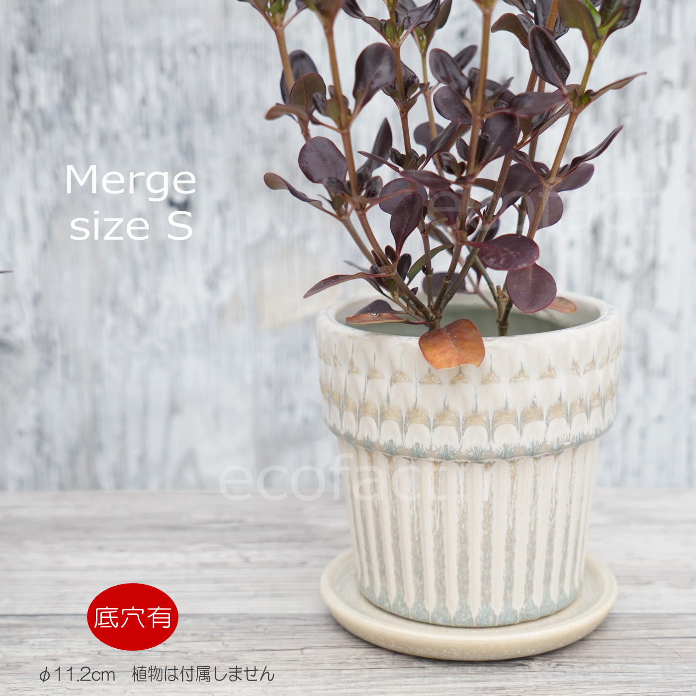 ポット 鉢 植木鉢 プランター おしゃれ 陶器 φ11.2cm Merge S ホワイト フラワーベース 花瓶 ガーデニング 園芸