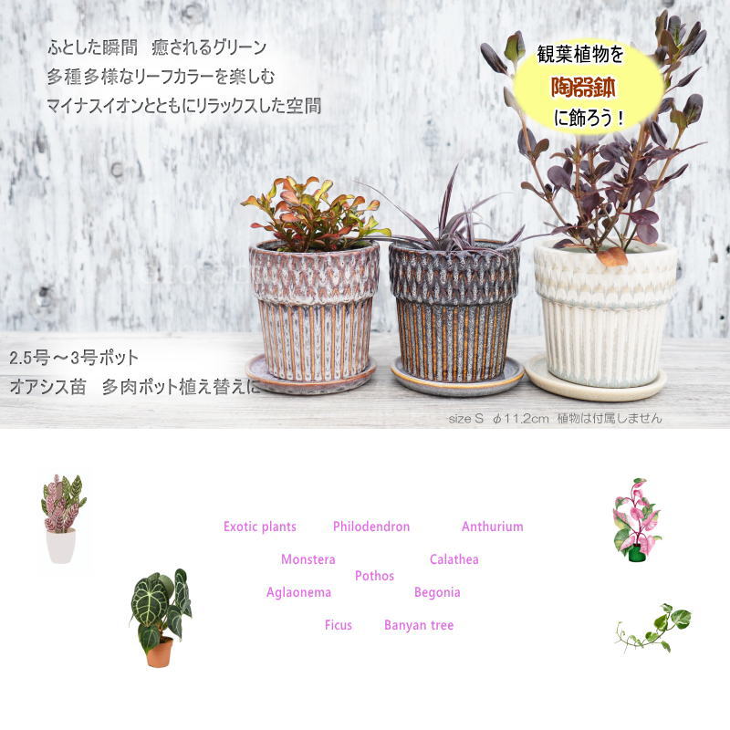 ポット 鉢 植木鉢 プランター おしゃれ 陶器 φ11.2cm Merge S ホワイト フラワーベース 花瓶 ガーデニング 園芸
