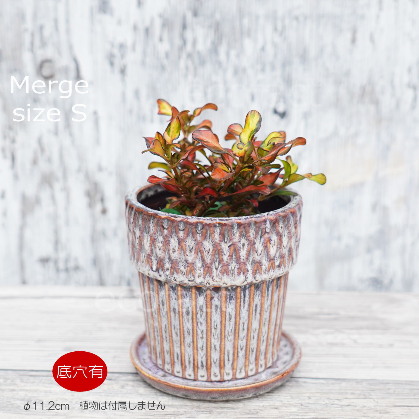 ポット 鉢 植木鉢 プランター おしゃれ 陶器 φ11.2cm Merge S グレー フラワーベース 花瓶 ガーデニング 園芸