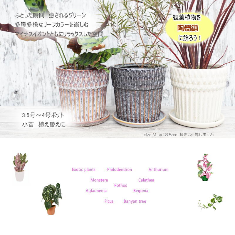 ポット 鉢 植木鉢 プランター おしゃれ 陶器 φ13.8cm Merge M ホワイト フラワーベース 花瓶 ガーデニング 園芸