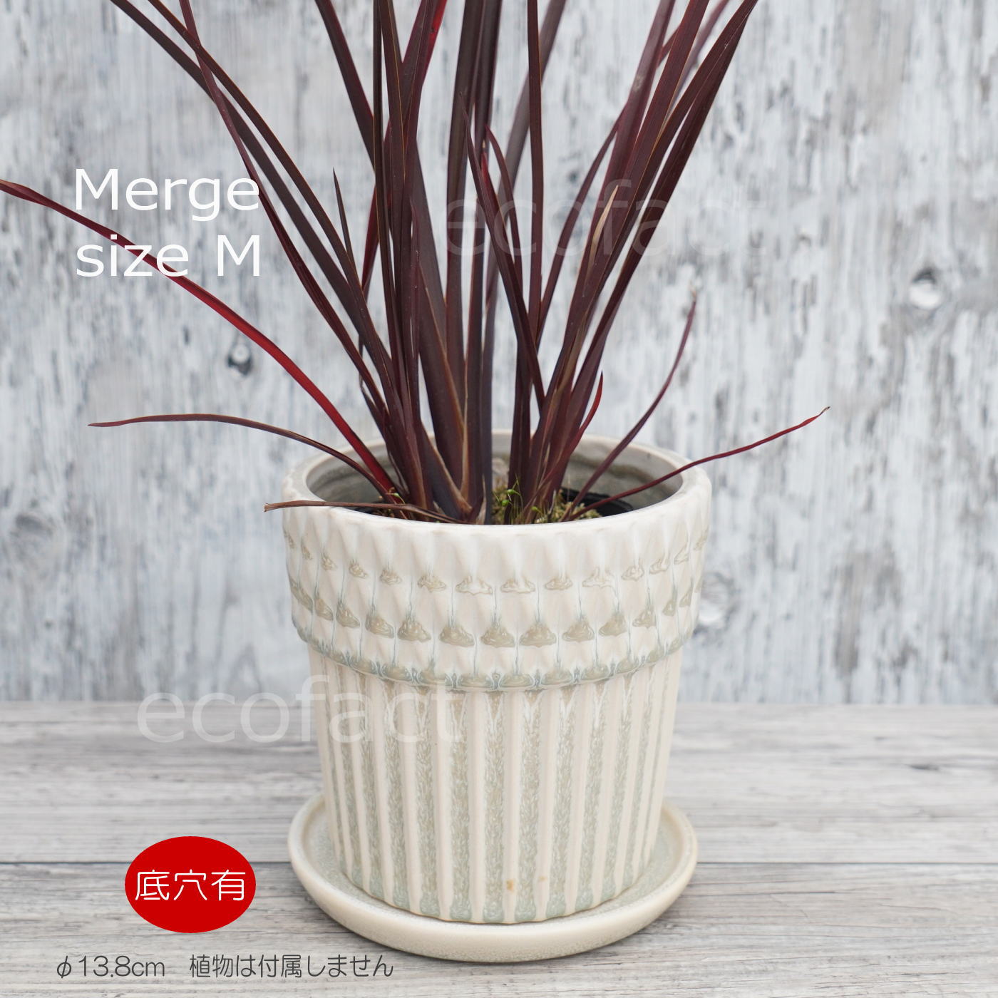 ポット 鉢 植木鉢 プランター おしゃれ 陶器 φ13.8cm Merge M ホワイト フラワーベース 花瓶 ガーデニング 園芸
